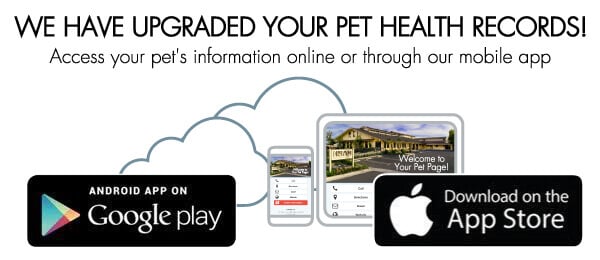 PetPage Announcement Banner