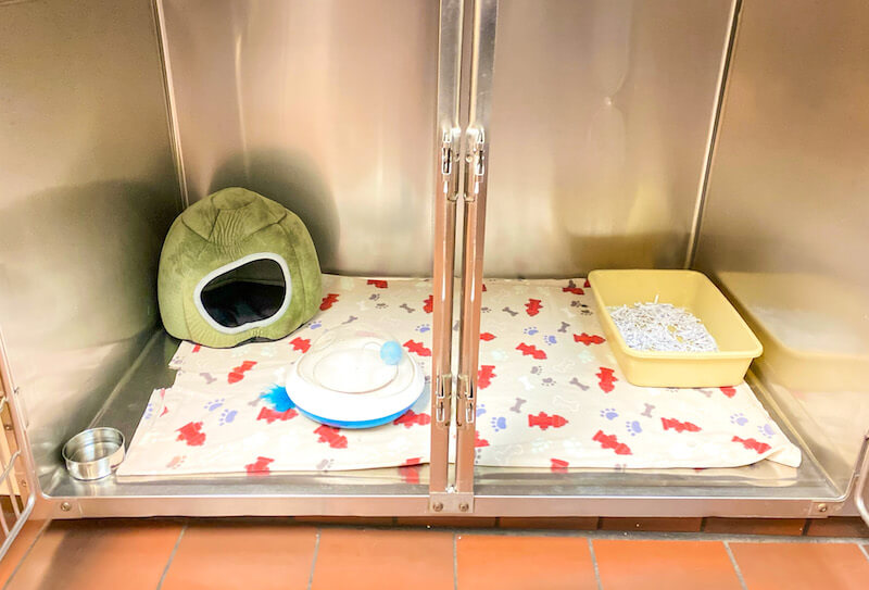 Boarding - Empty Kennel