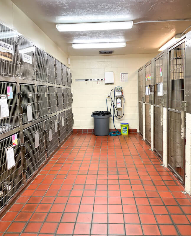 Boarding - Wide Kennel view