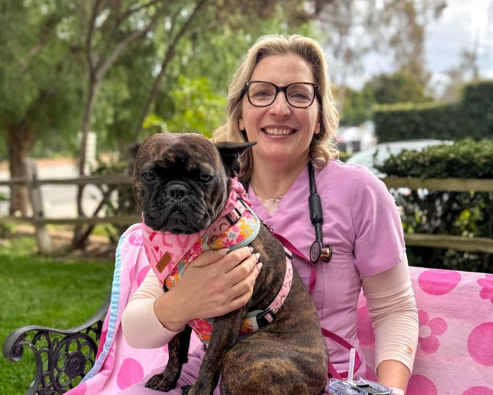 Dr. Sebzda's newest certification in Respiratory Function (RFGS) for BOAS