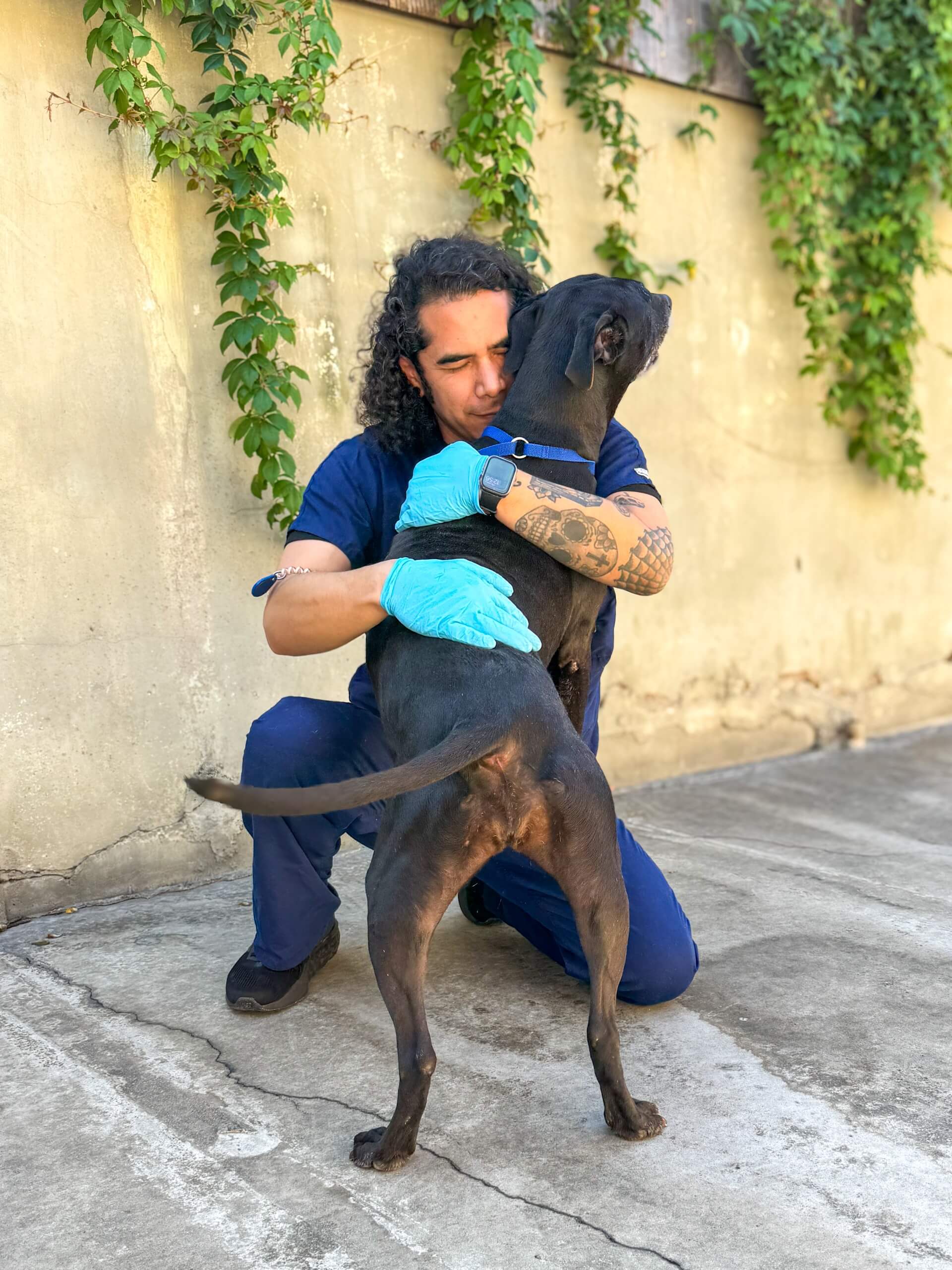 Dog giving kisses to attendant during boarding stay