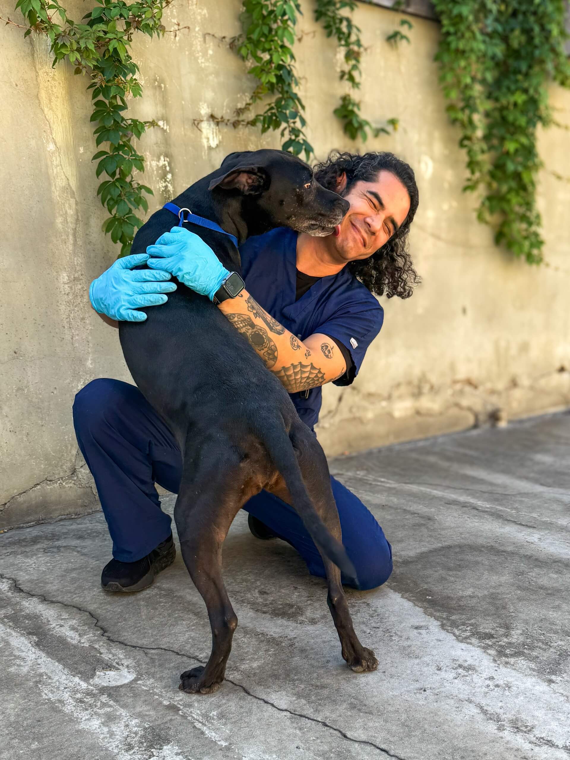Dog playing with Attendant during boarding stay
