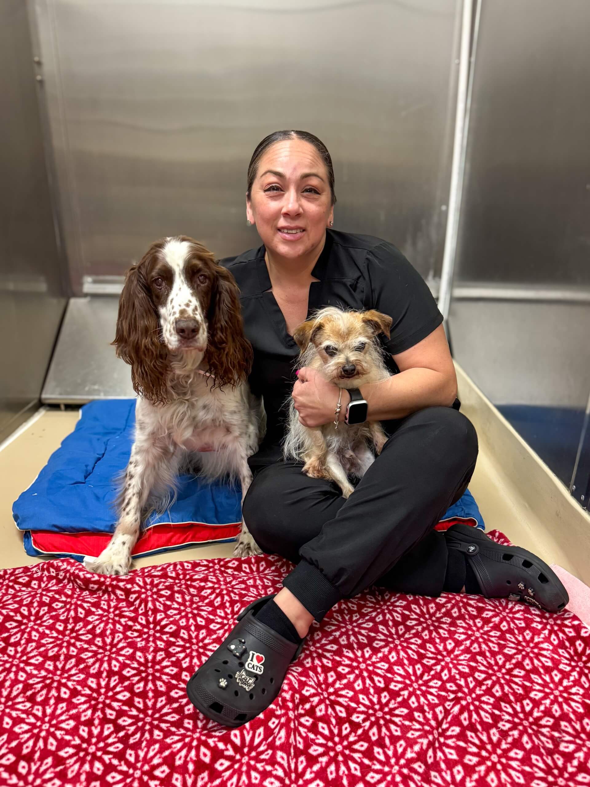 Dogs cuddling with Attendant during their Boarding Stay