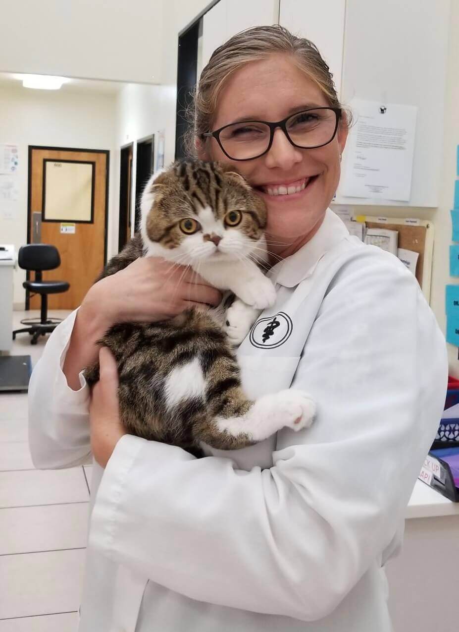 Dr. Wind holding Scottish Fold cat