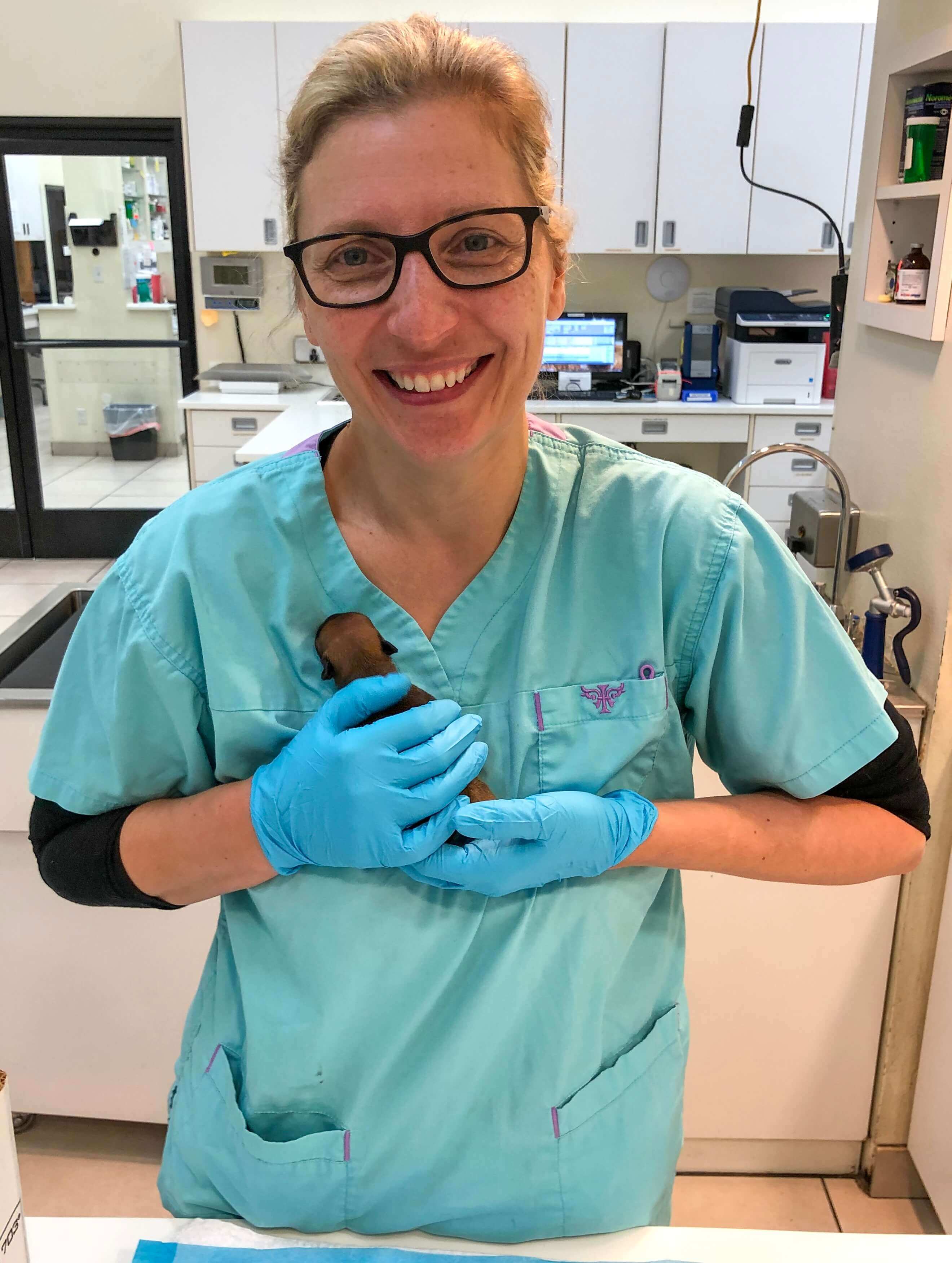 Dr. Sebzda holding a new born French Bulldog puppy