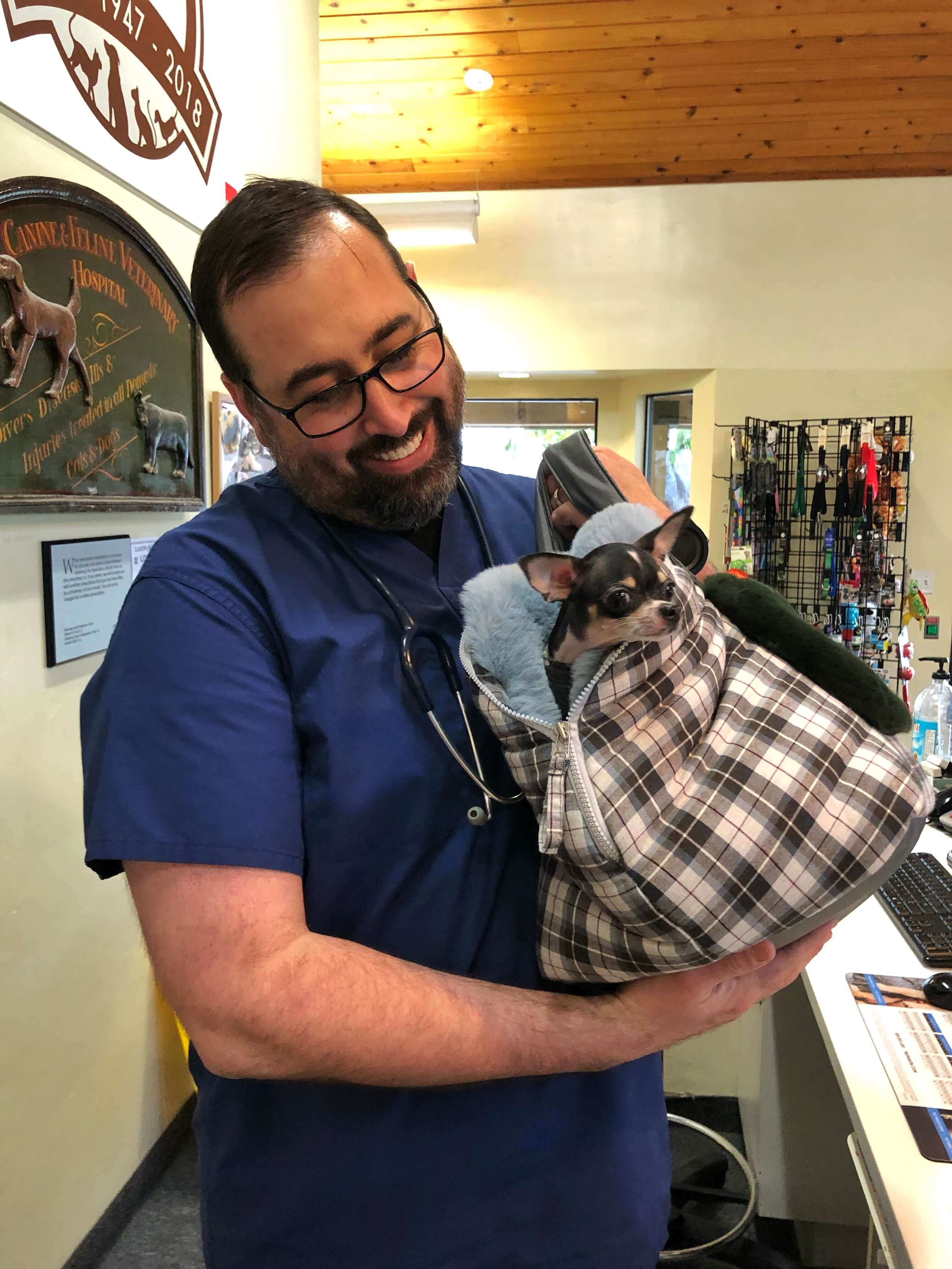 Dr. Ashbran holding small Chihuahua in shoulder carrier