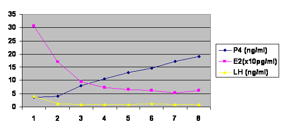 Canine Ovulation Timing Chart