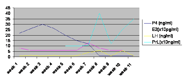 Canine Progesterone Chart