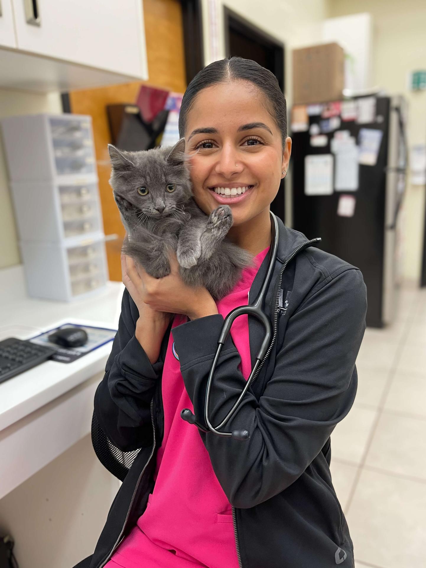 cat with vet tech