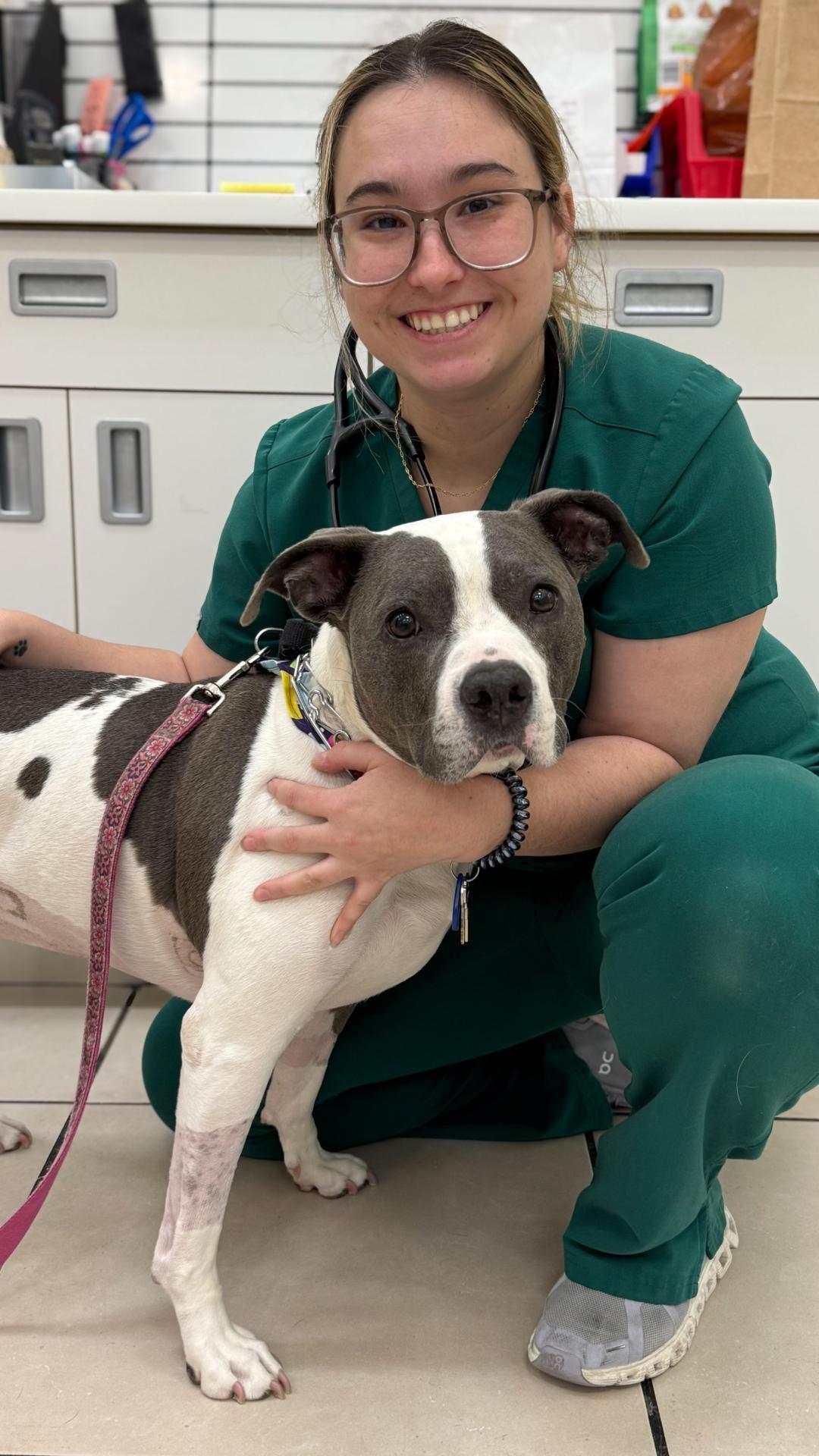 veterinarian near me
