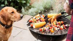 Dog at Barbecue