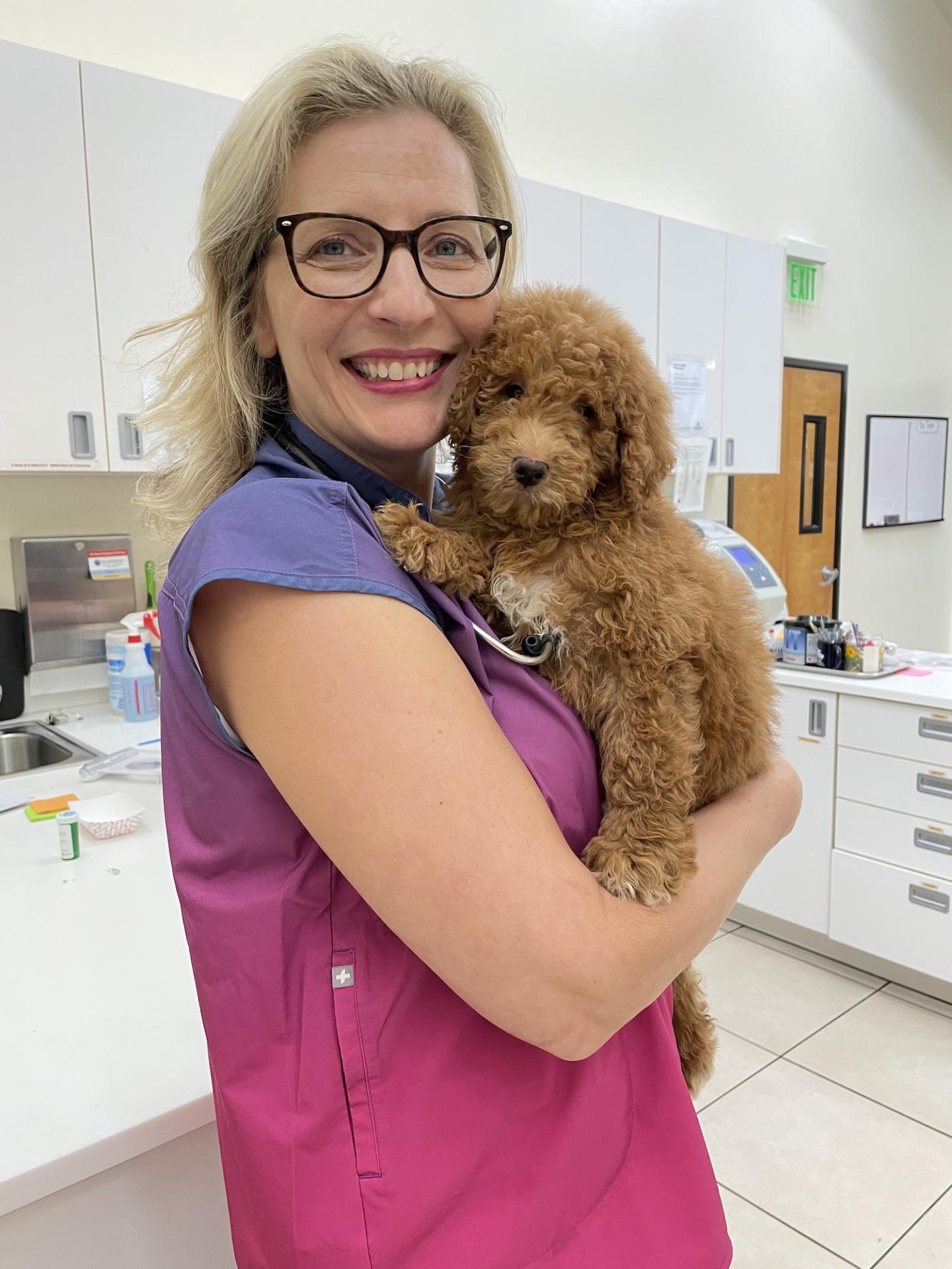 Dr. Mary Sebzda Theriogenology Veterinarian