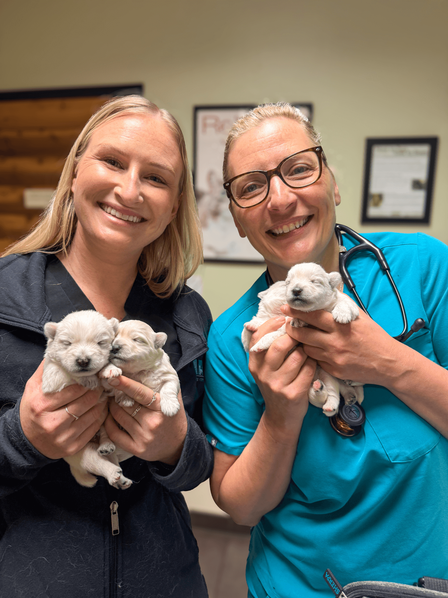 Dr. Sebzda with new puppies Dr. Sebzda with new puppies