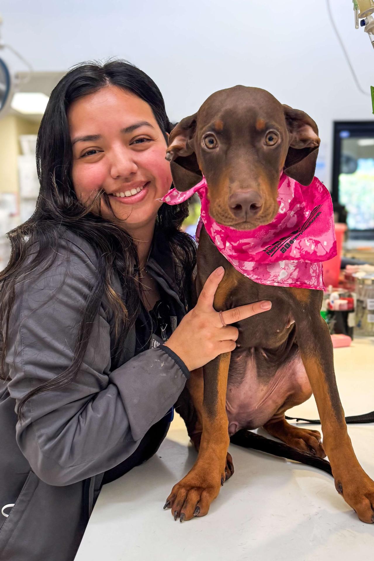 Veterinarian Costa Mesa