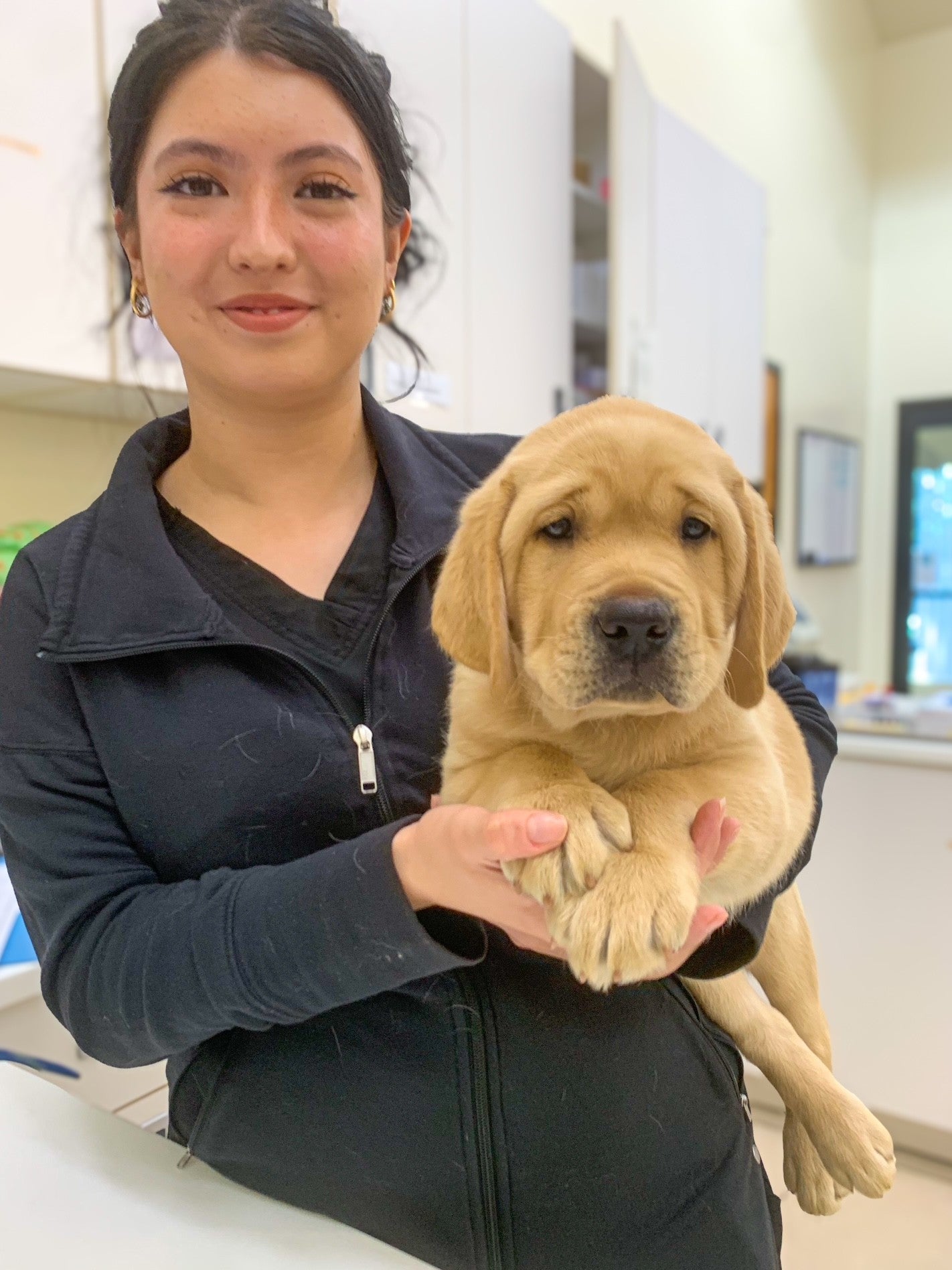 Puppy Care in Costa Mesa
