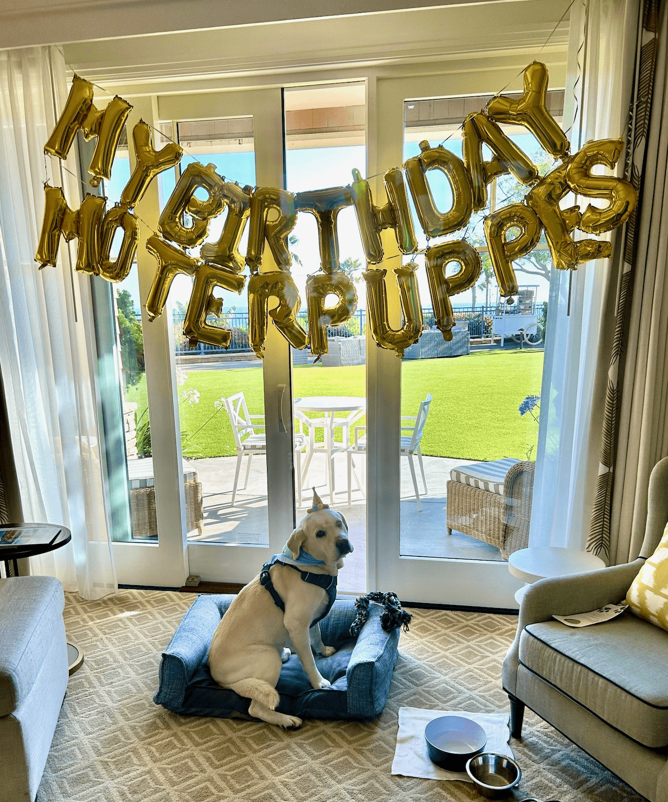 Pet-Friendly Lodging Newport Beach