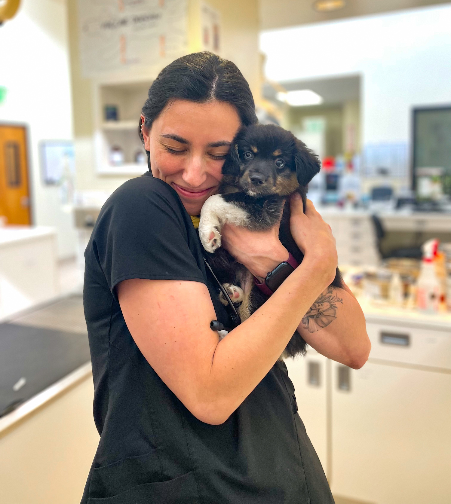 Newport Harbor Puppy Care Veterinarian