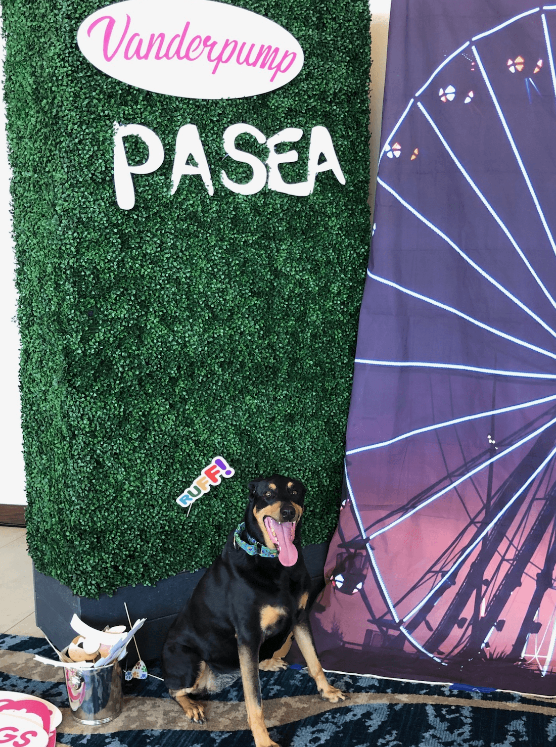 Dog Friendly Lodging