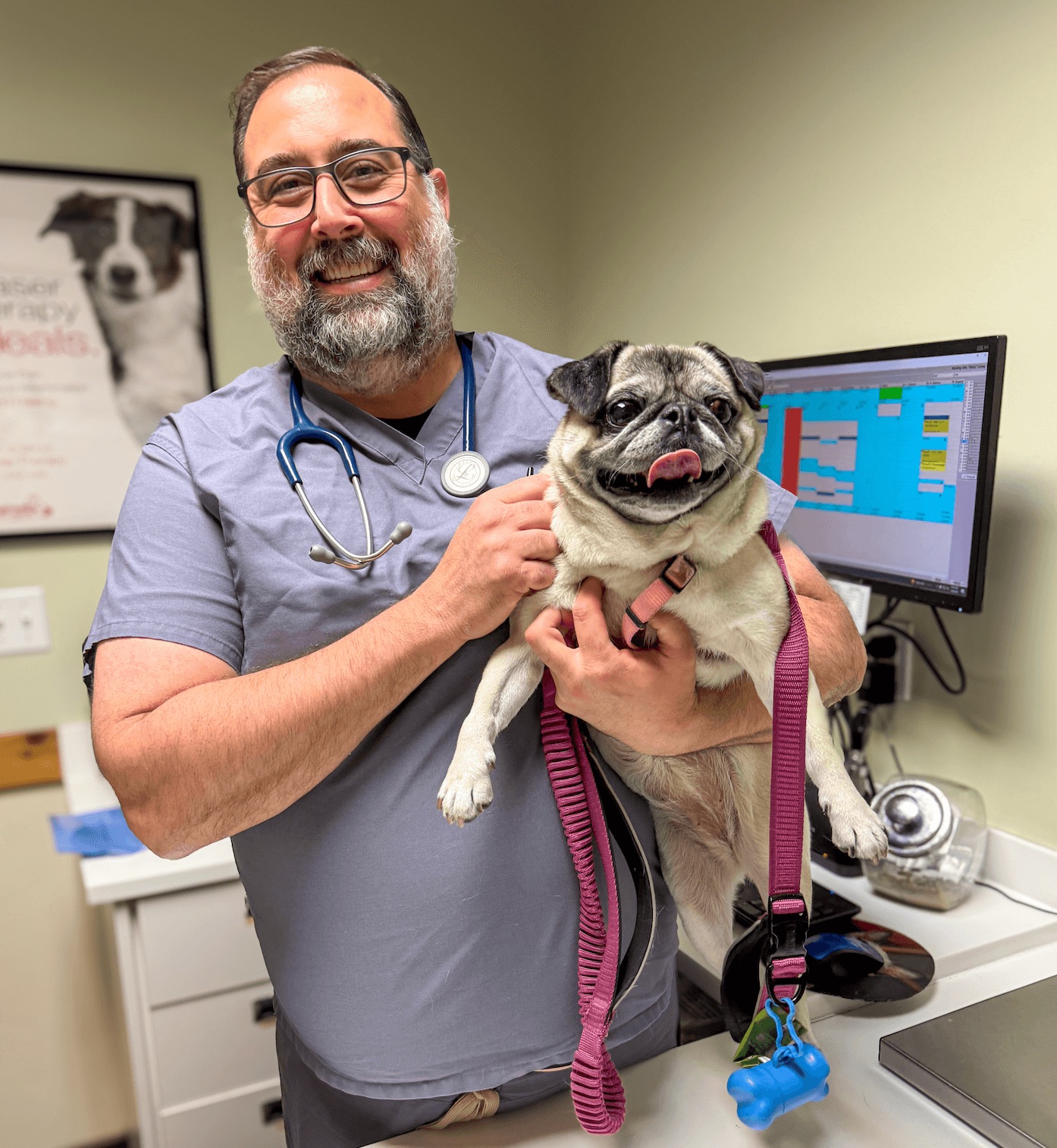 Pug with Vet