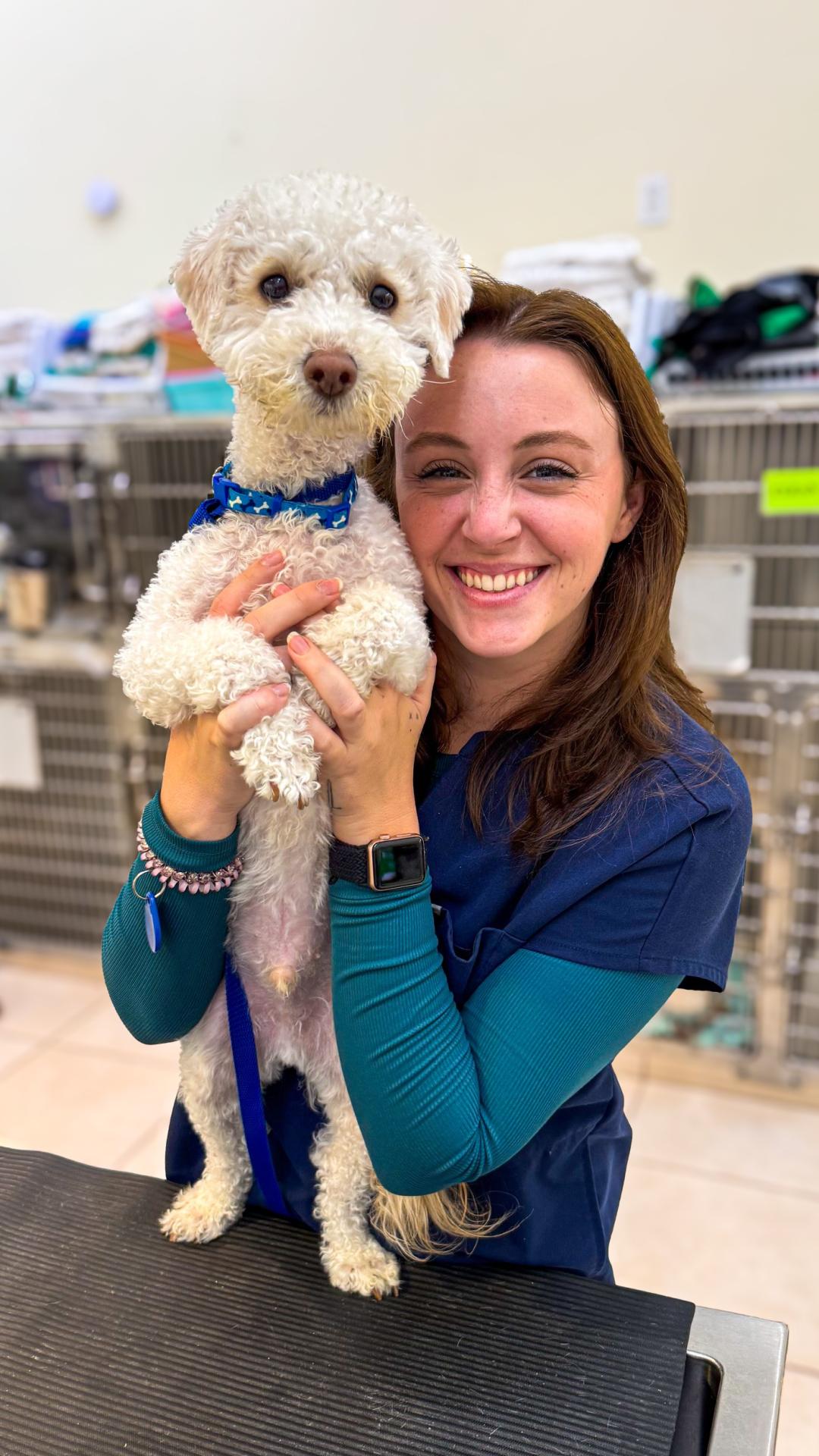 Dog vet care in Costa Mesa