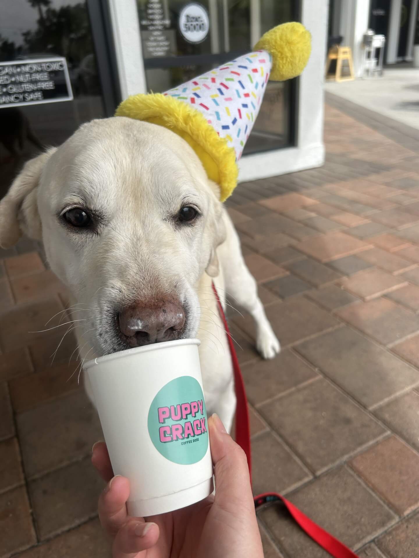 Coffee Dose Costa Mesa