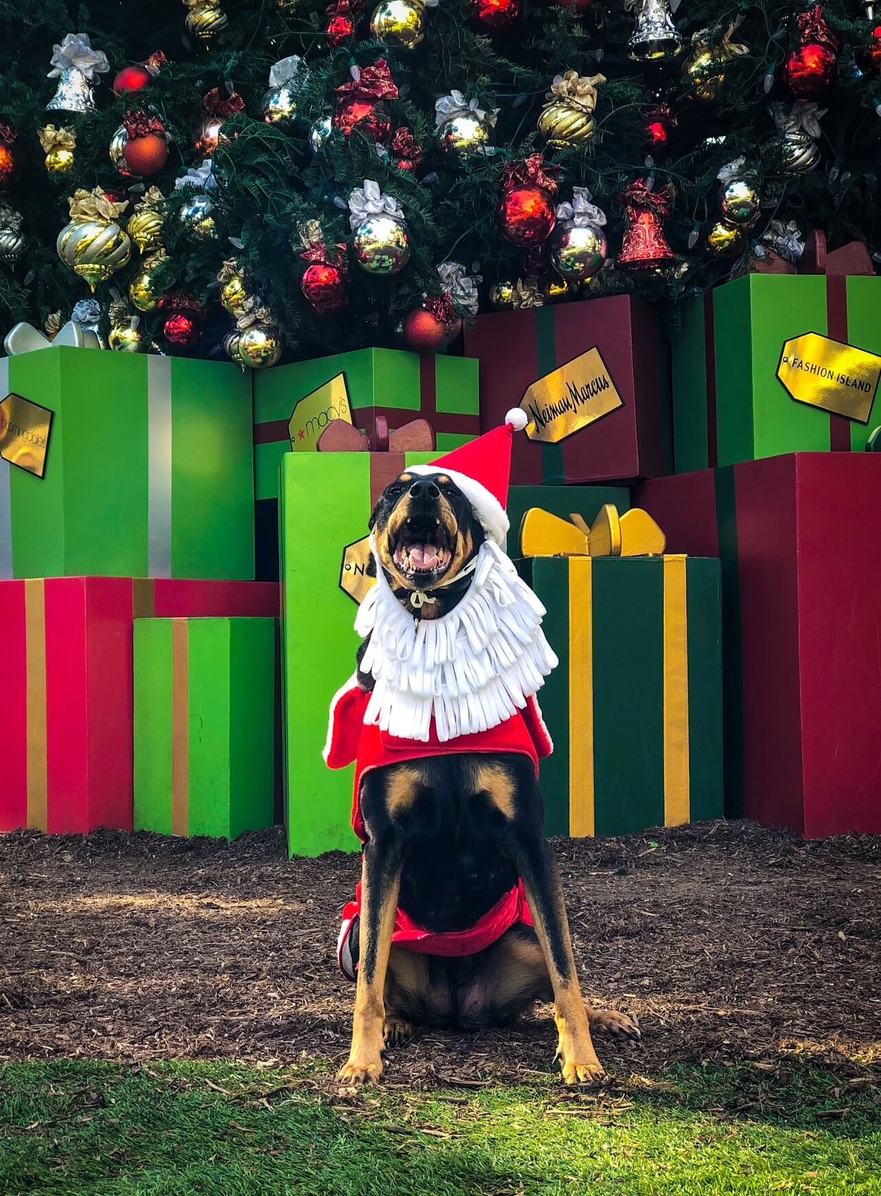 Fashion Island Newport Beach