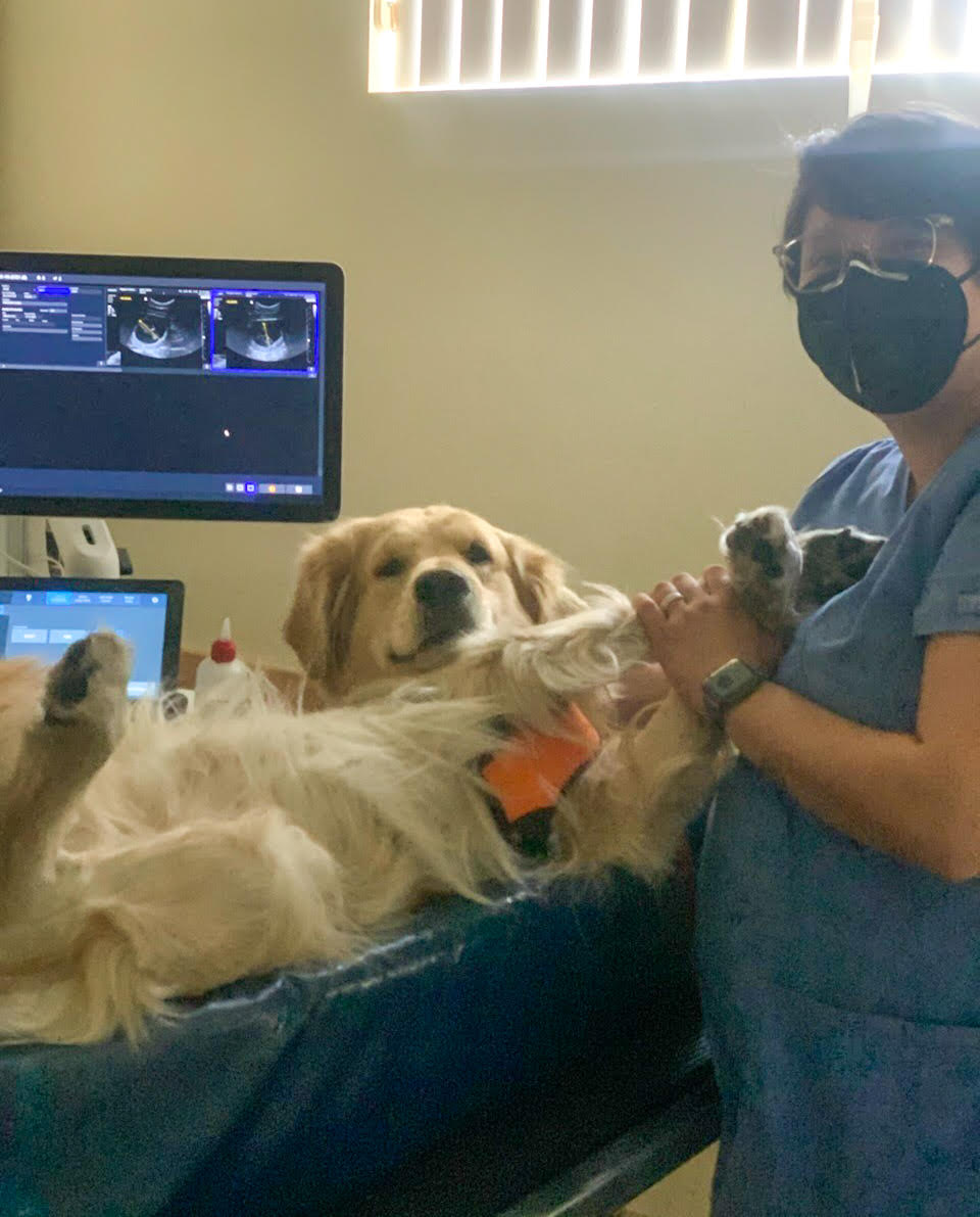 Fertility exam with ultrasound