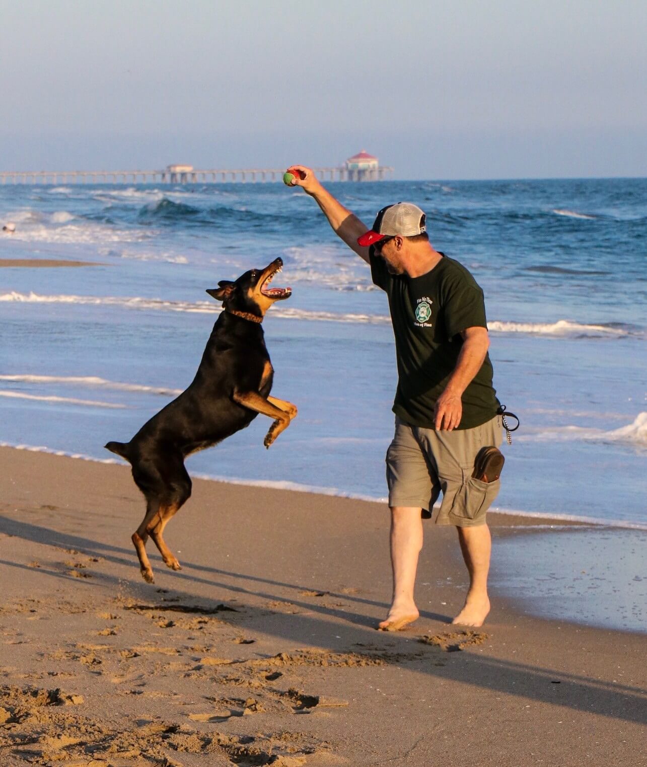 Dog Friendly Beach Orange County