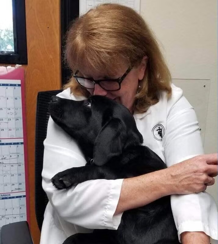 Veterinarian holding and embracing a black Labrador puppy, representing dog behavior services at Newport Harbor Vets in Costa Mesa