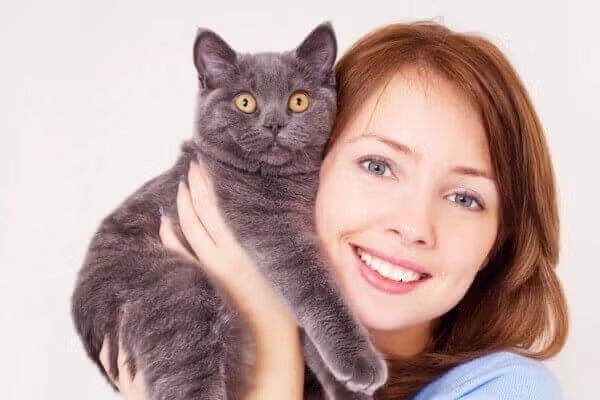 Smiling woman holding a gray British Shorthair cat, representing pet pain management at Newport Harbor Vets in Costa Mesa