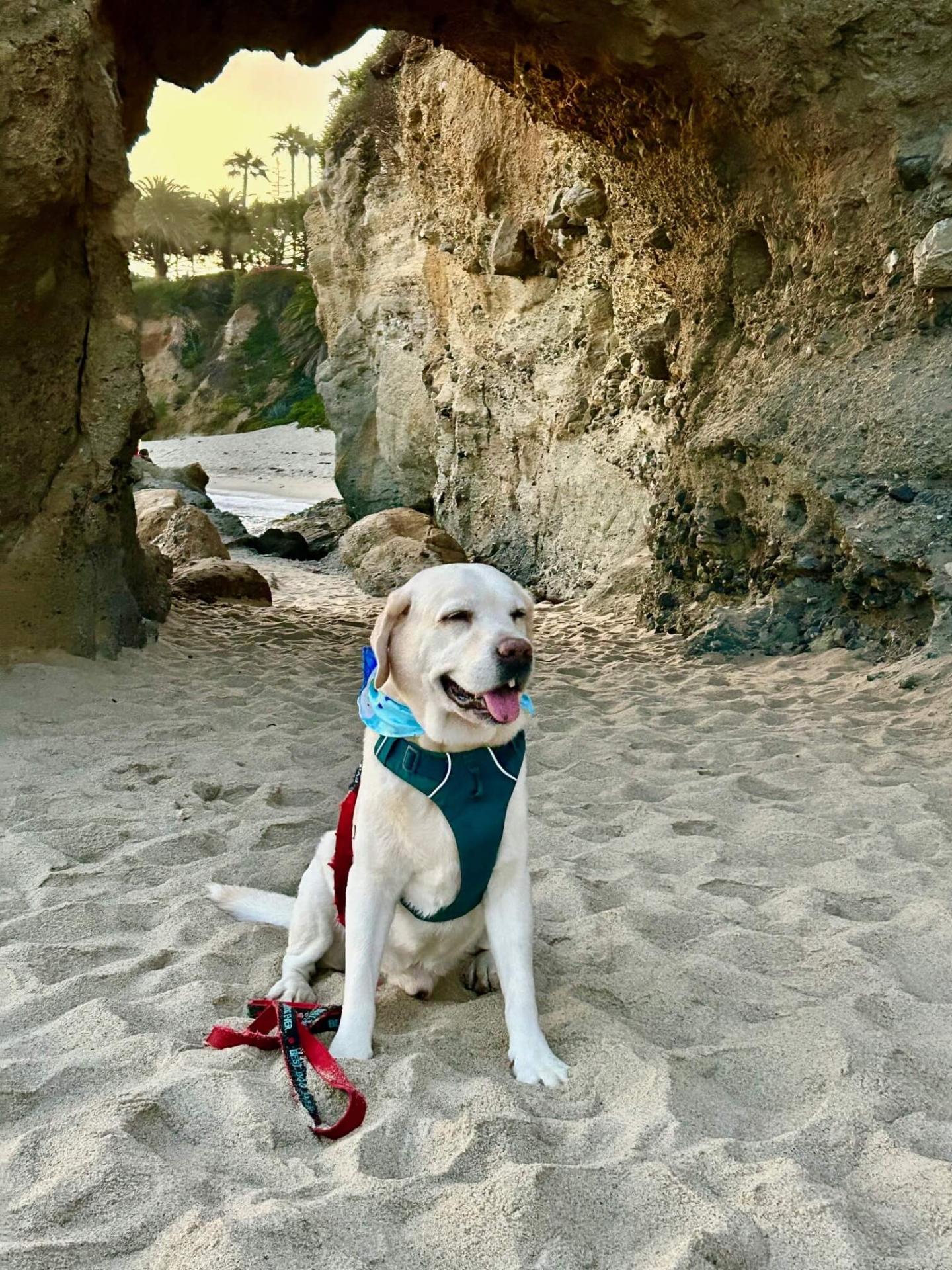 Treasure Island Park