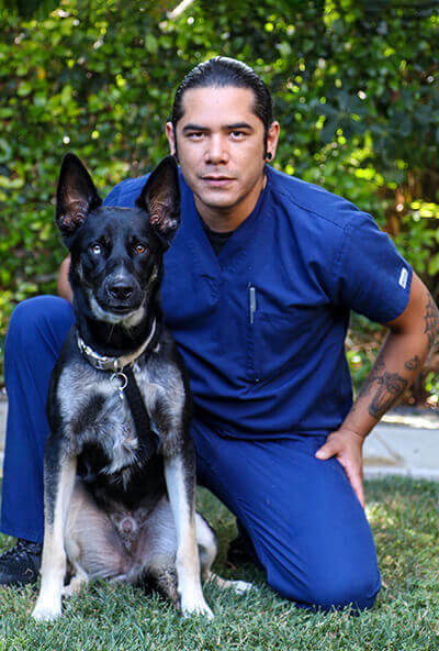 newport harbor animal hospital newport beach