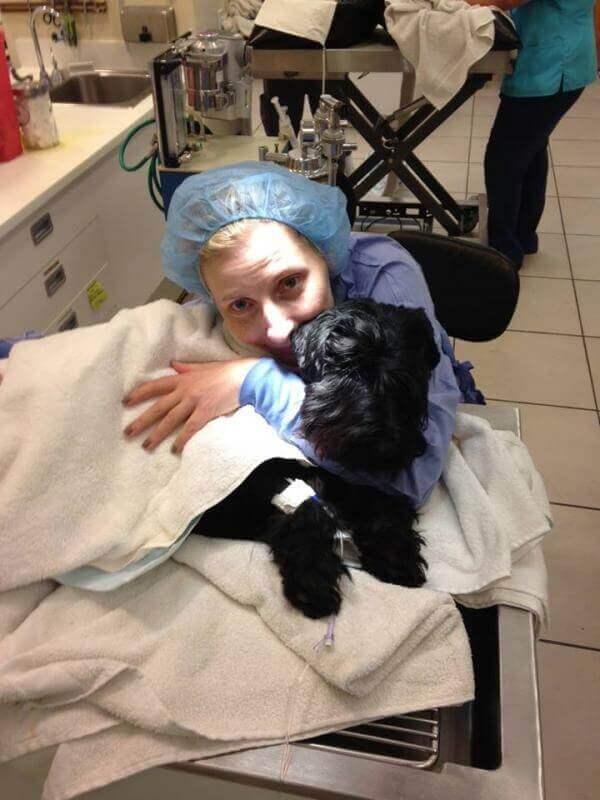 Dr. Sebzda hugging black dog after anesthesia
