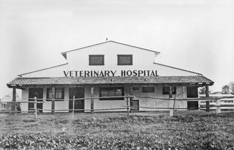 local veterinarians