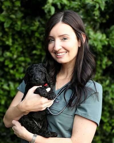 Dr. Jennifer Osborne