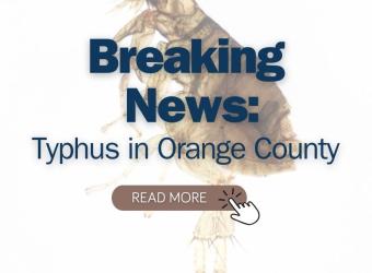 Alert: Flea-borne Typhus in Orange County, California