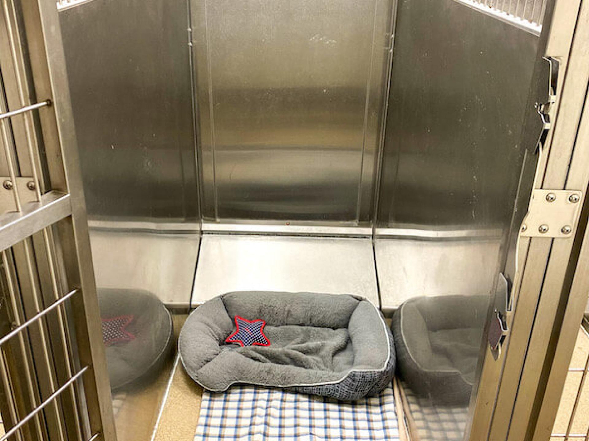 Boarding Newport Harbor Animal Hospital