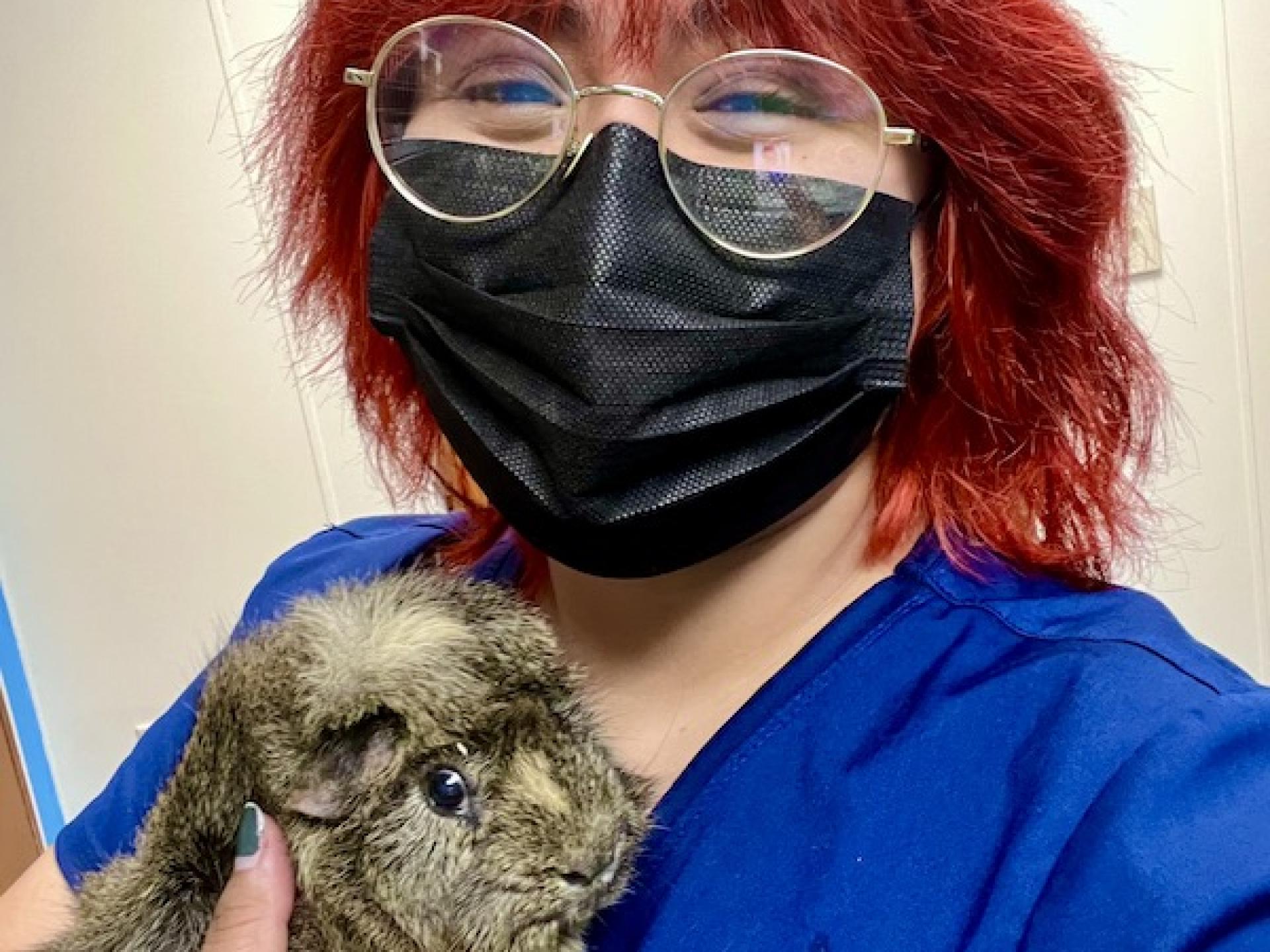 Boarding 5 Newport Harbor Animal Hospital