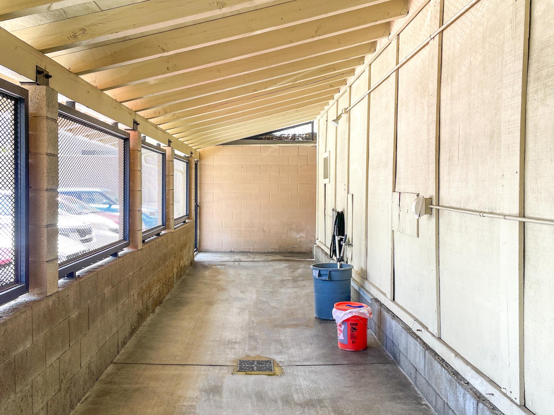 Dog Boarding Run Costa Mesa Newport Harbor Animal Hospital